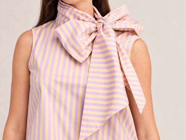 Blusa Rayas